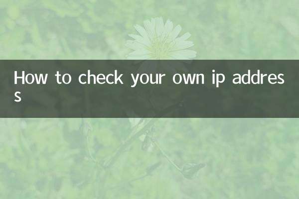 How to check your own ip address