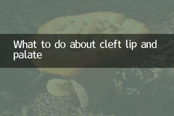 در مورد شکاف کام و لب چه کنیم؟