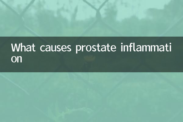 전립선 염증의 원인