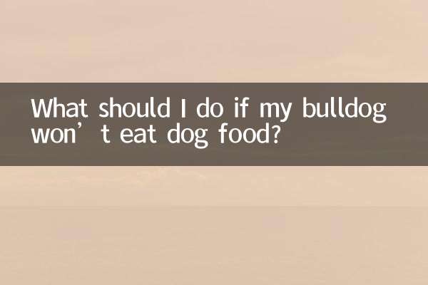 اگر میرا بلڈوگ کتے کا کھانا نہیں کھائے گا تو مجھے کیا کرنا چاہئے؟