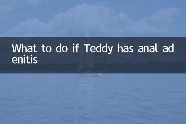 小泰迪肛门腺炎怎么办