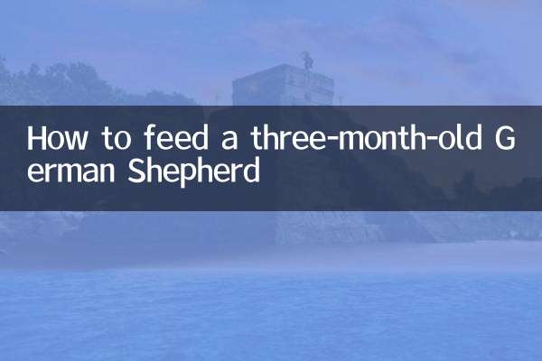 三个月德牧怎么喂养