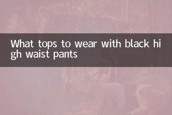 Quali top indossare con pantaloni neri a vita alta