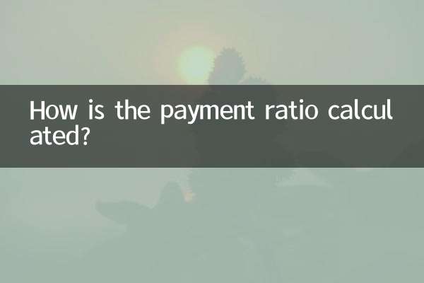 भुगतान अनुपात की गणना कैसे की जाती है?