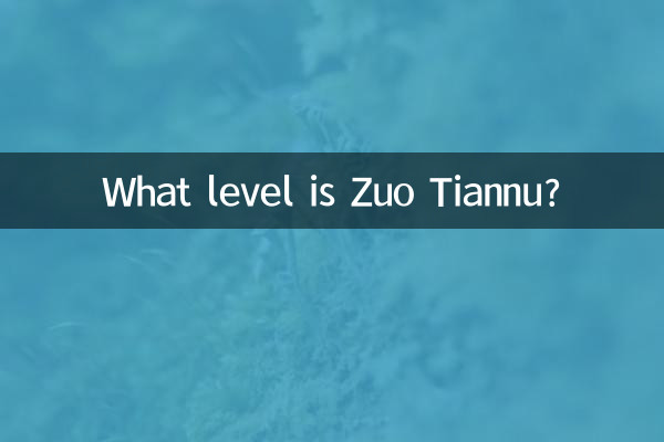 左天奴是什么档次