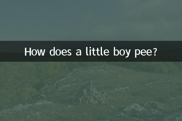 How does a little boy pee?