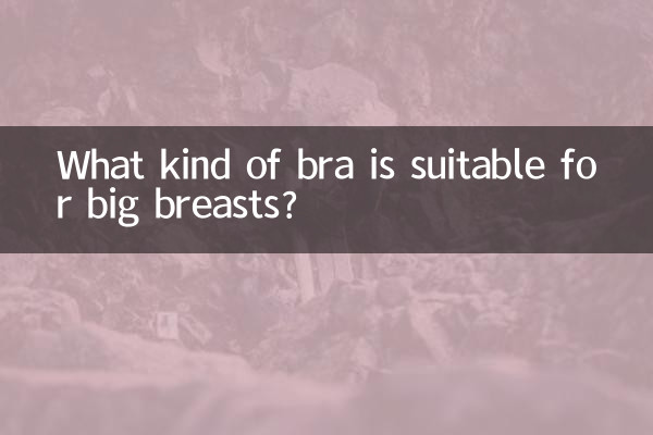 큰가슴에는 어떤 브라가 어울리나요?