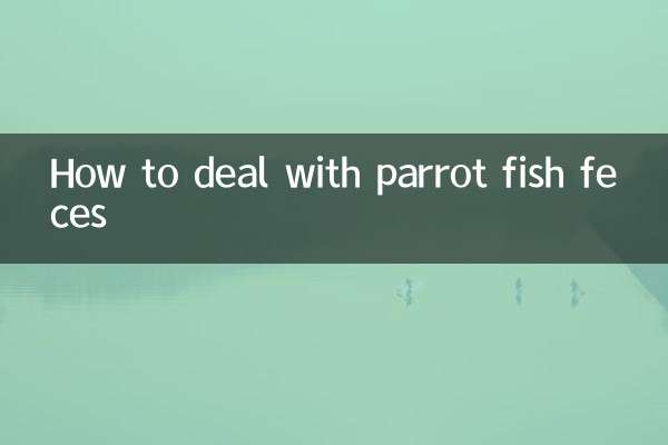 ブダイの糞の対処法