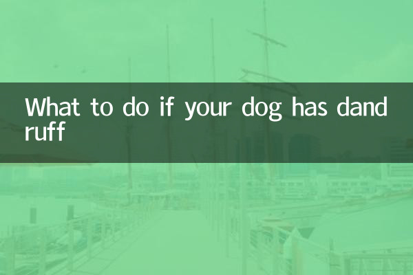 강아지에게 비듬이 있으면 어떻게 해야 할까요?