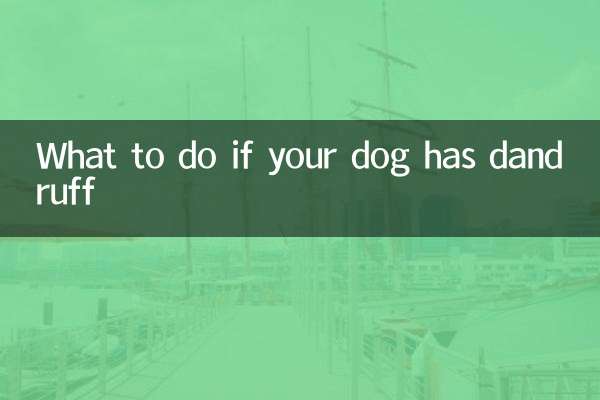 강아지에게 비듬이 있으면 어떻게 해야 할까요?