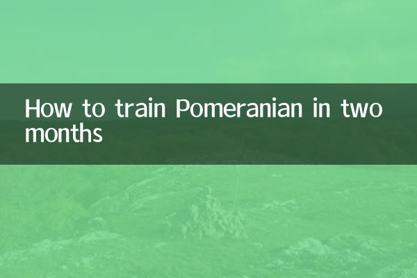 How to train Pomeranian in two months