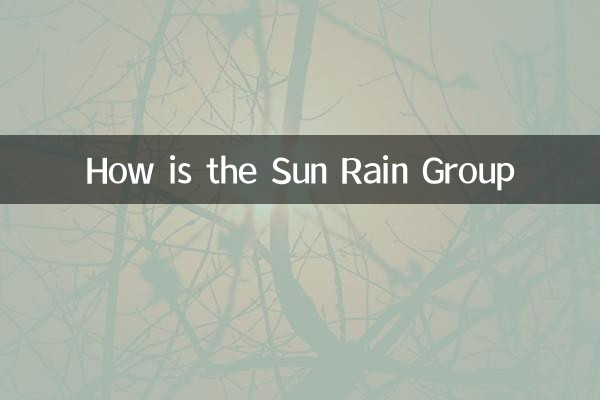 Sun Rain Group은 어떻습니까