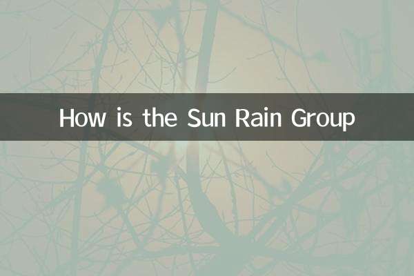 Sun Rain Group은 어떻습니까