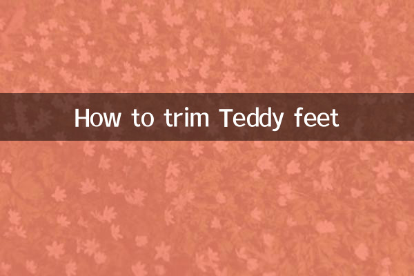 How to trim Teddy feet