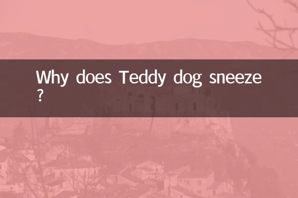 Pourquoi le chien Teddy éternue-t-il ?