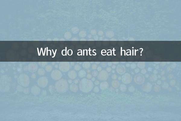 Perché le formiche mangiano i capelli?