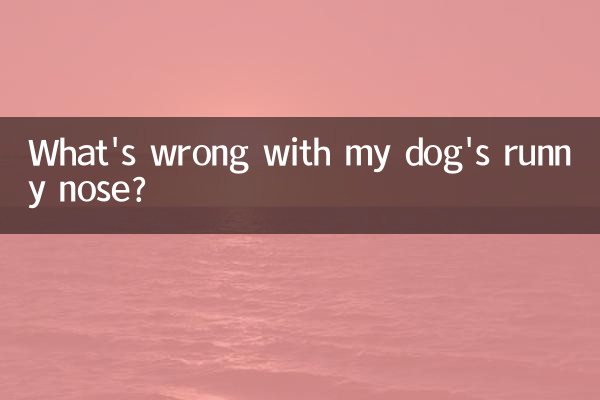 What's wrong with my dog's runny nose?