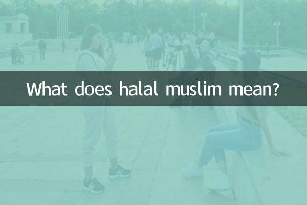 ¿Qué significa musulmán halal?
