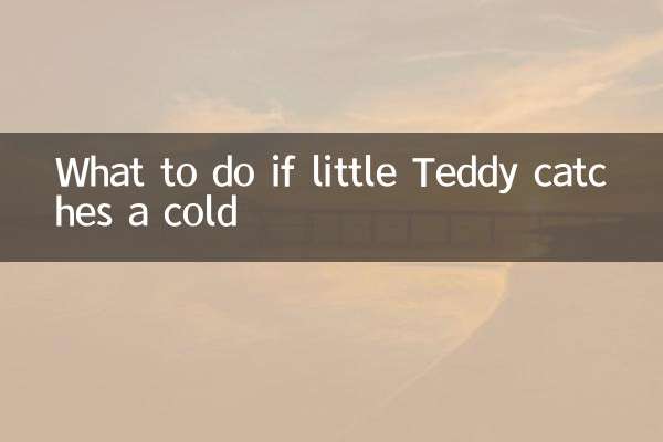 What to do if little Teddy catches a cold