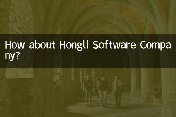 Qu’en est-il de la société Hongli Software ?