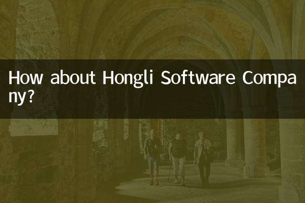 Qu’en est-il de la société Hongli Software ?