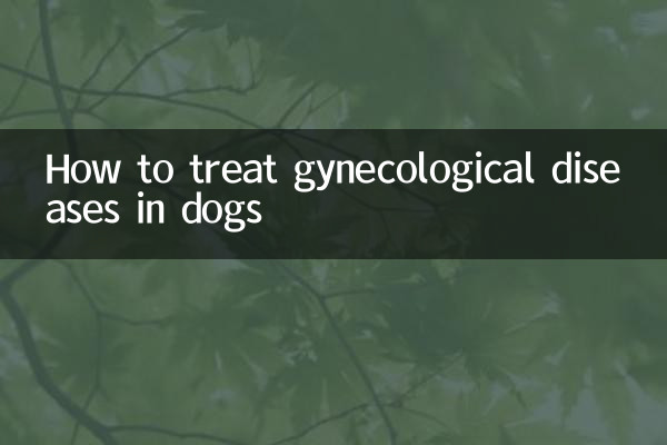 강아지의 부인과 질환을 치료하는 방법