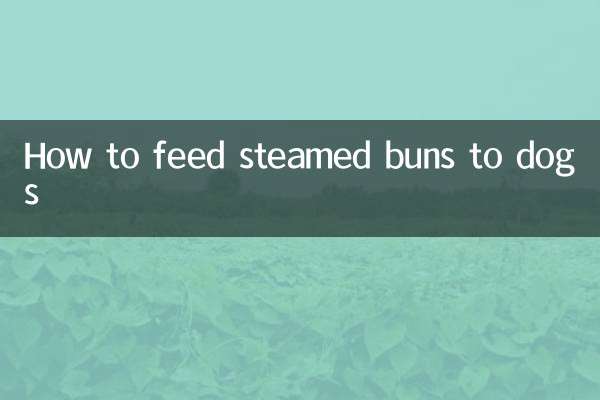 Cómo alimentar a los perros con bollos al vapor