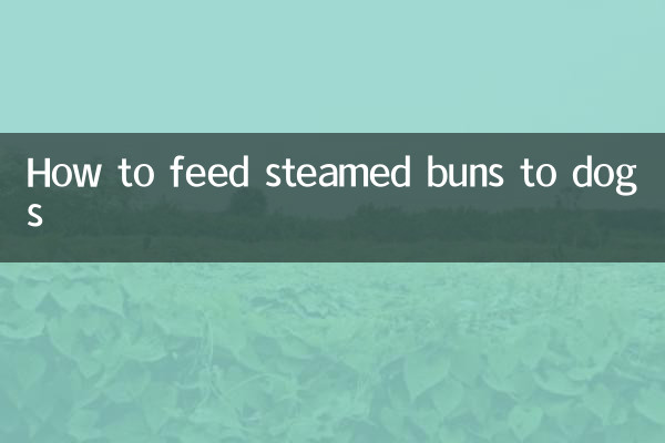 Cómo alimentar a los perros con bollos al vapor