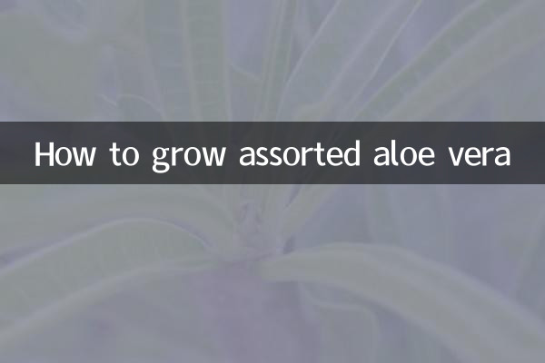 다양한 알로에베라를 재배하는 방법