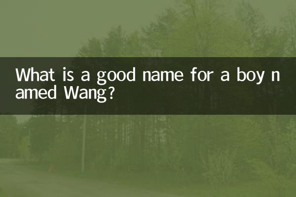 نام خوب پسری به نام وانگ چیست؟