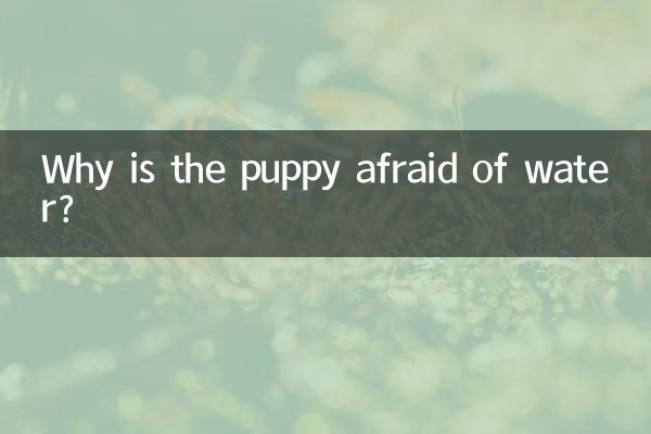 چرا توله سگ از آب می ترسد؟