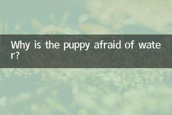 なぜ子犬は水を怖がるのでしょうか？