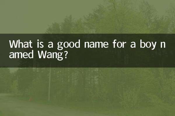 نام خوب پسری به نام وانگ چیست؟