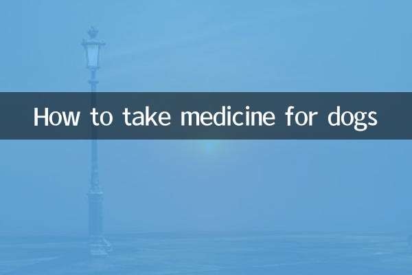 Come prendere le medicine per i cani