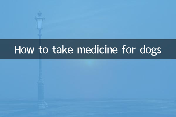 狗狗的药怎么吃