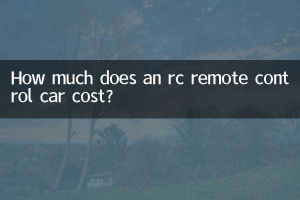 ラジコンカーの価格はいくらですか?