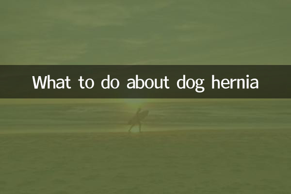 ¿Qué hacer con la hernia del perro?