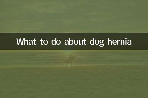 What to do about dog hernia
