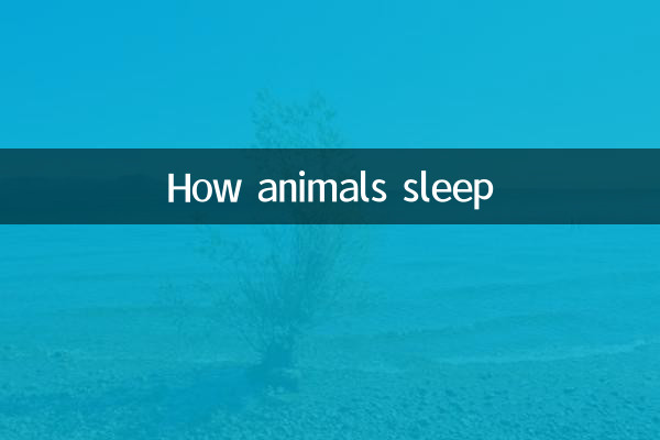 como duermen los animales