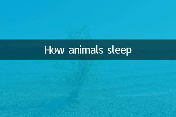 como duermen los animales