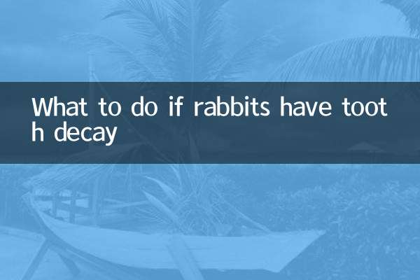 What to do if rabbits have tooth decay