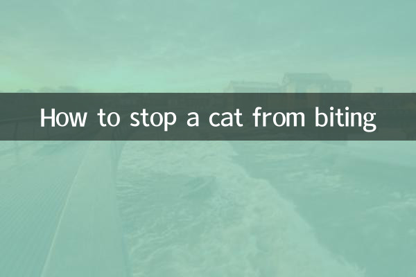 How to stop a cat from biting