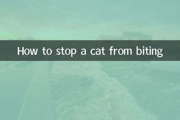 How to stop a cat from biting