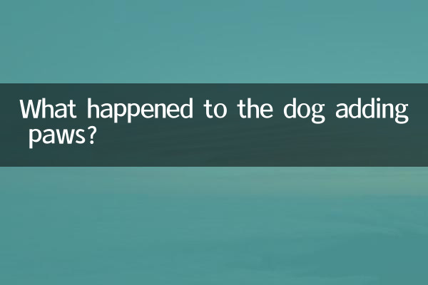 狗狗添爪子怎么回事