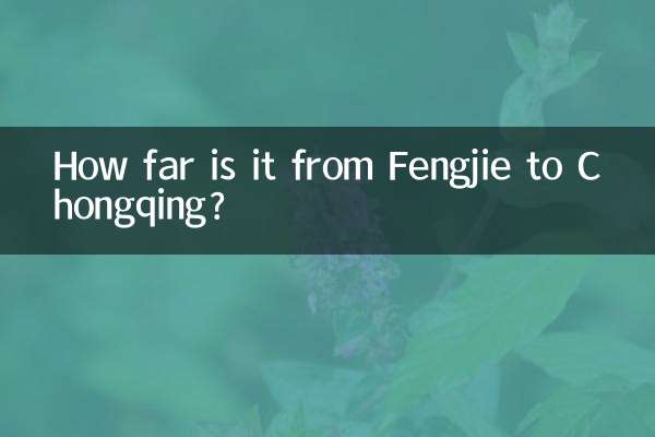 Quanto dista Fengjie da Chongqing?