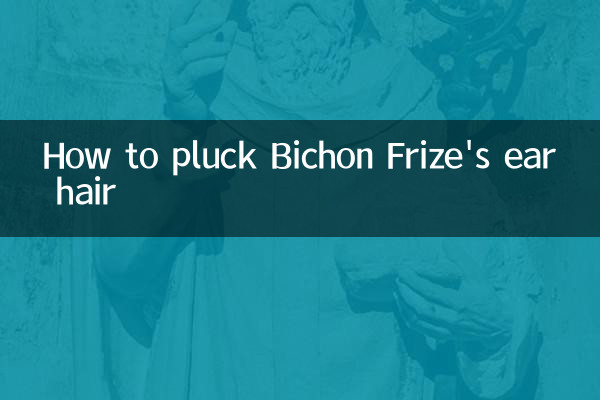 ビションフリーゼの耳毛の抜き方