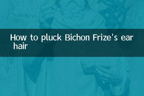 ビションフリーゼの耳毛の抜き方