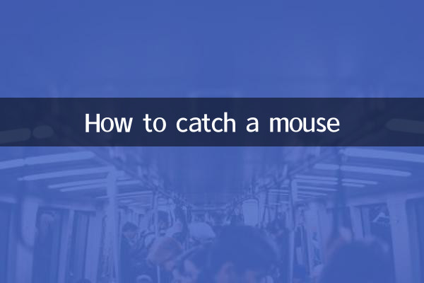 쥐를 잡는 방법