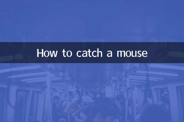 怎么能抓住老鼠