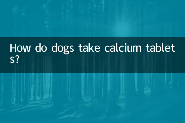 犬はどのようにカルシウム錠剤を服用しますか?